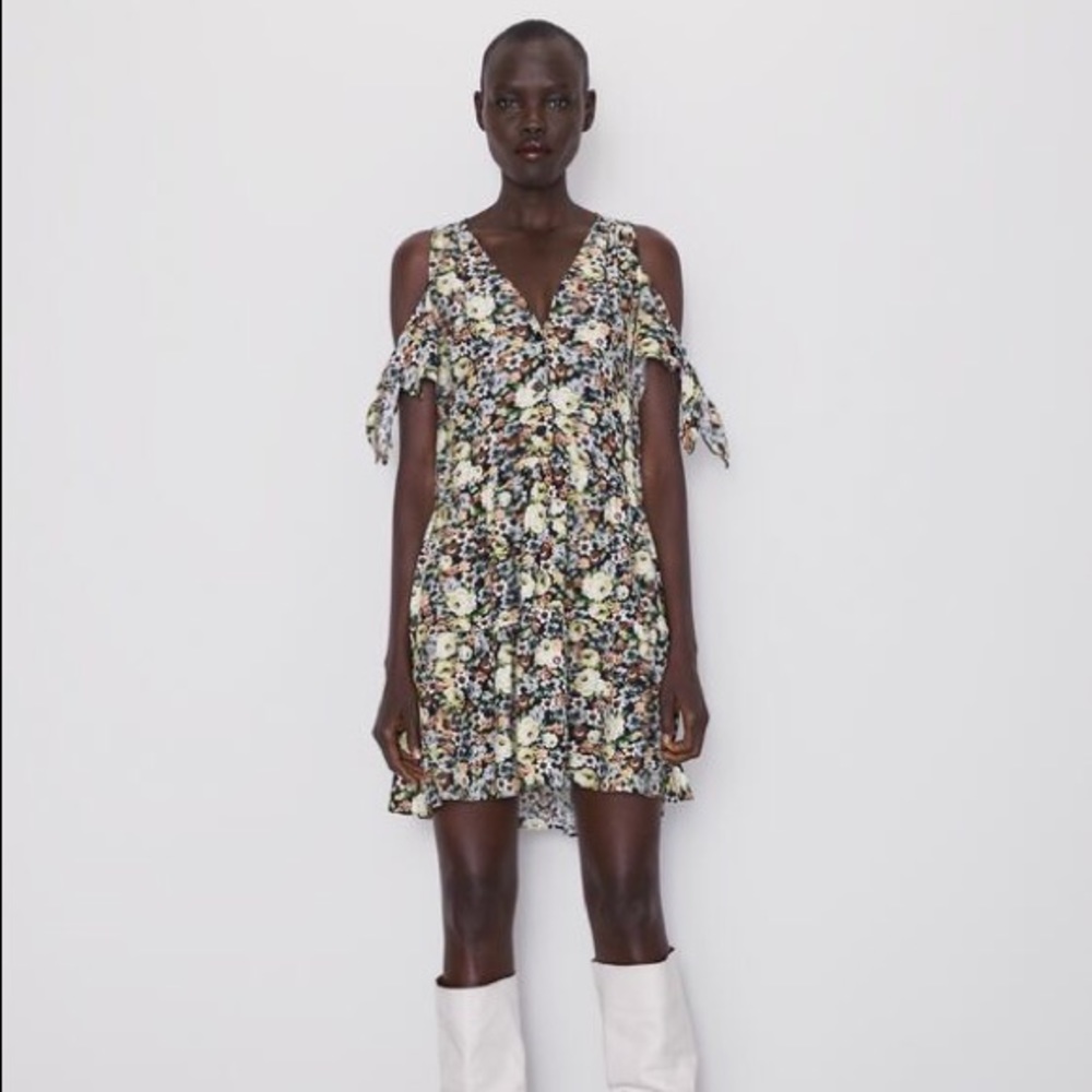 Zara Floral Print Dress